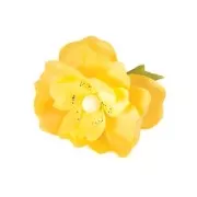 Set de 15 tiges pour fleurs 46 cm - Vert