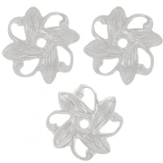 Fleurs