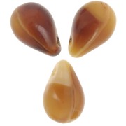 Gouttes 6x9 mm Cream Caramel x25|raw }}