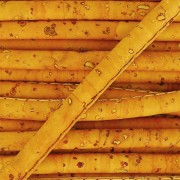 Cordon liège surpiqué 4 mm Moutarde x 50cm|raw }}
