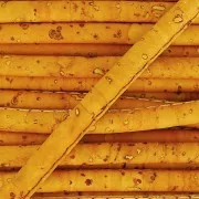 Cordon liège surpiqué 4 mm Moutarde x 50cm