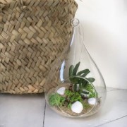 Gravier de décoration Vert Anis x900g