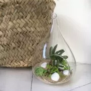 Gravier de décoration Vert Anis x900g