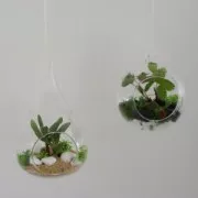 Gravier de décoration Vert Anis x900g