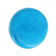 Palet de Tagua 19 mm Turquoise x 1|raw }}