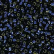 Miyuki Delica Duracoat 11/0 DB2192 - Dyed Montana Silver Lined x8g