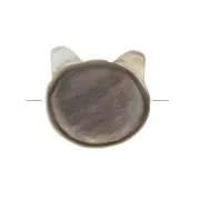 Perle tête de chat en Nacre 10 mm Gris irisé x1