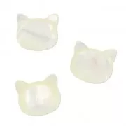 Perle tête de chat 10 mm - Nacre x1