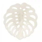 Pendentif feuille de philodendron 33x31.5 mm en nacre - Naturel x1