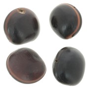 Graine ojo de buey d'Amérique du Sud 30 mm Naturel x 1