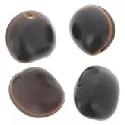 Graine ojo de buey d'Amérique du Sud 30 mm Naturel x 1