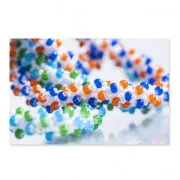 Cornelian Beads Star Preciosa Ornela en Verre Tchèque 32/0 Jet x8g