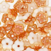 Fleurs intercalaires Forget-me-not 5 mm Opaque White Apricot x50