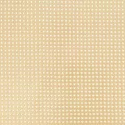 Tissu Vinyle à broder laqué et perforé - Doré x10cm