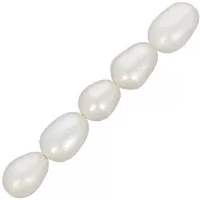 Perles d'eau douce irrégulières 7x6mm Blanc x10