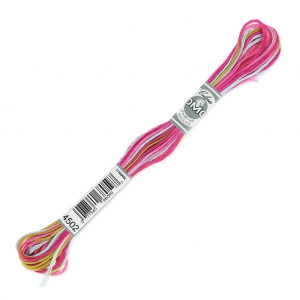 Fil à broder DMC Mouliné Coloris Multicolore Camélia (4502) x8m