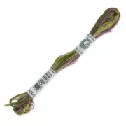 Fil à broder DMC Mouliné Coloris Multicolore Bruyère (4505) x8m