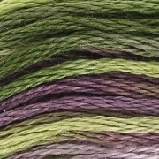 Fil à broder DMC Mouliné Coloris Multicolore Bruyère (4505) x8m