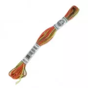 Fil à broder DMC Mouliné Coloris Multicolore Erable (4510) x8m