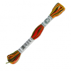 Fil à broder DMC Mouliné Coloris Multicolore Eté indien (4511) x8m