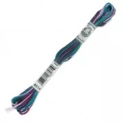 Fil à broder DMC Mouliné Coloris Multicolore Venise (4514) x8m