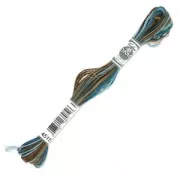 Fil à broder DMC Mouliné Coloris Multicolore Paris (4515) x8m