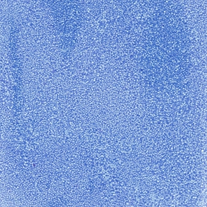 Perles de jojoba exfoliantes pour création diy de bombe de bain/savon x5g