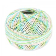 Fil de coton Lizbeth taille 20 Wild Flower n°109 x192m