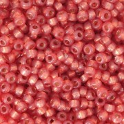 Rocaille Miyuki Duracoat 11/0 4244 - Dyed Persimmon Silver Lined x8g