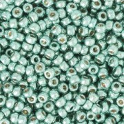 Rocaille Miyuki Duracoat 11/0 4216 - Galvanized Sea Foam x8g|raw }}