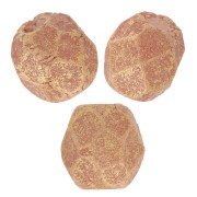 Facettes 3 mm Pacifica Macadamia x50|raw }}