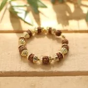 Perles graines naturelles de Rudraksha larmes de shiva 10 mm x10