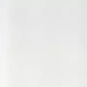 Tissu Organza pour broderie perlée de Lunéville et confection de vêtements Ecru x10cm