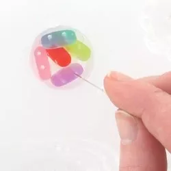 Comment utiliser la résine d'inclusion avec un moule ? : Etape 4