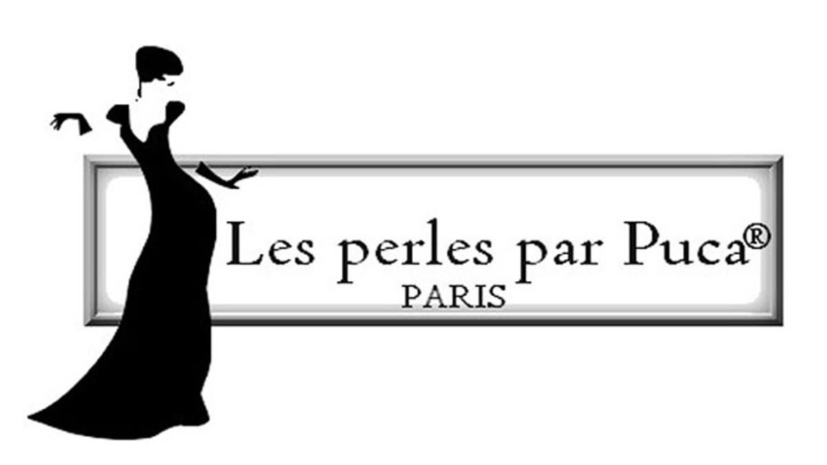 Schéma Interview créatif avec Puca