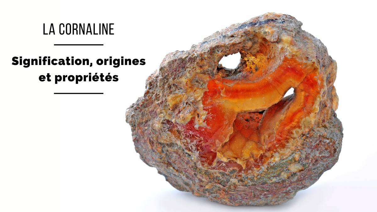 La Cornaline : Signification, origines et propriétés