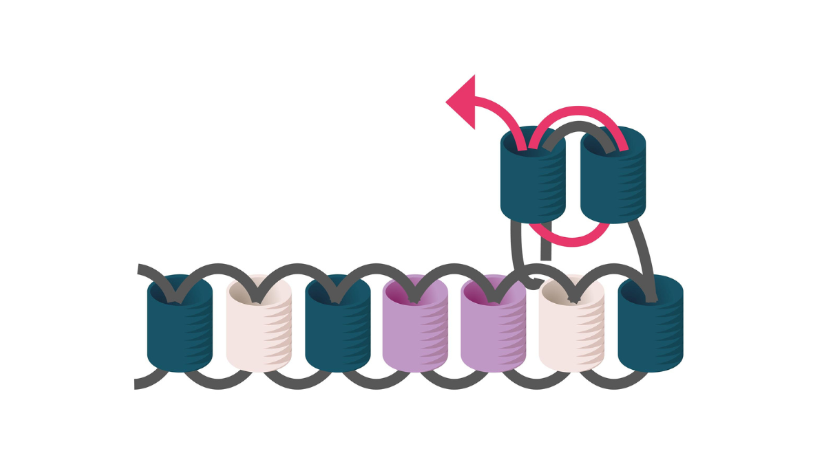 Cadeaux d'invités noël en tissage de perles Miyuki : Etape 5