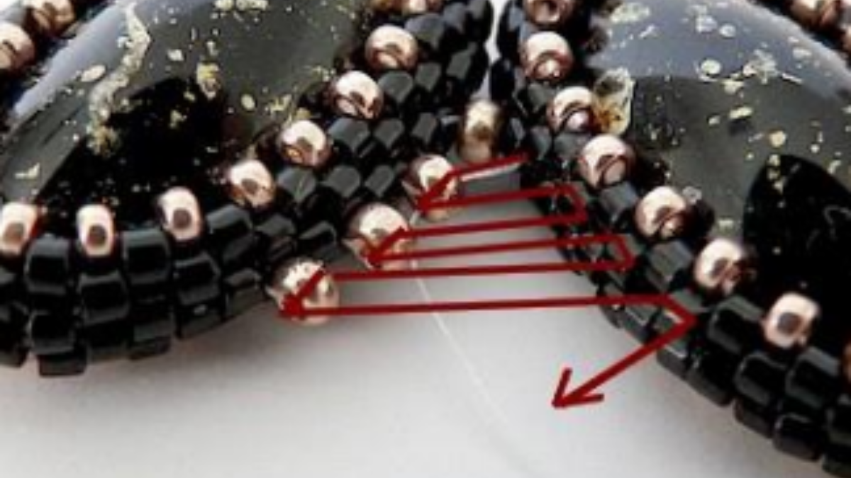 Accessoire de sac, pompon perle Angèle avec perles en verre Athos par Puca : Etape 19