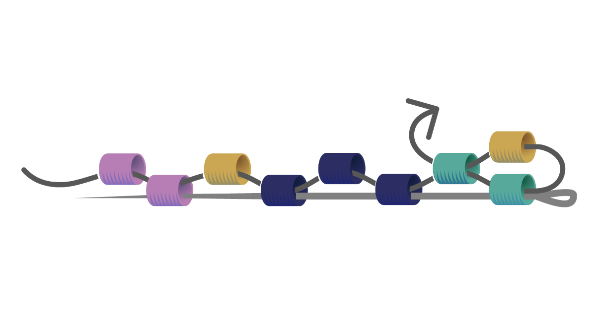 Bracelet Jonc en tissage de perles Miyuki technique Peyote Pair : Etape 3