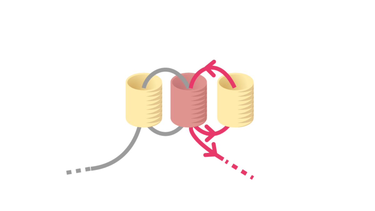 Grille de tissage Boucles d'oreilles Miyuki pastel en Brick Stitch : Etape 3