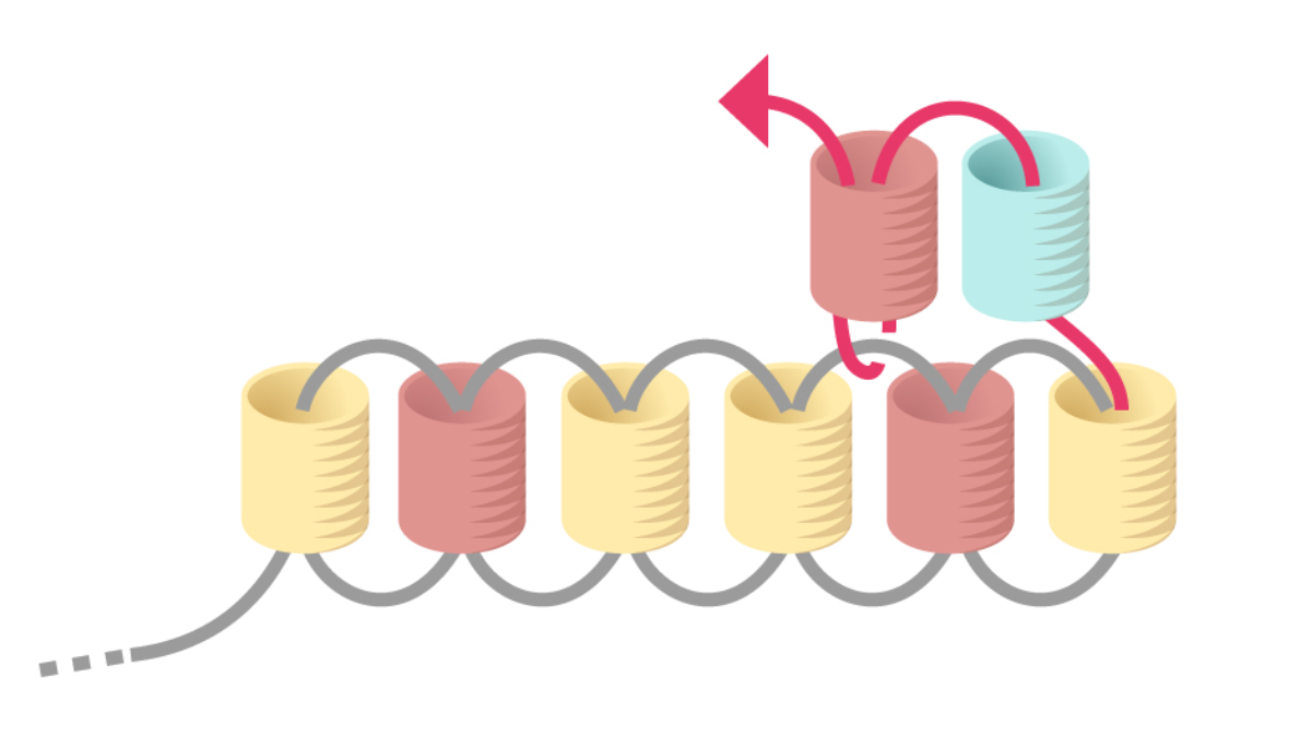 Grille de tissage Boucles d'oreilles Miyuki pastel en Brick Stitch : Etape 6