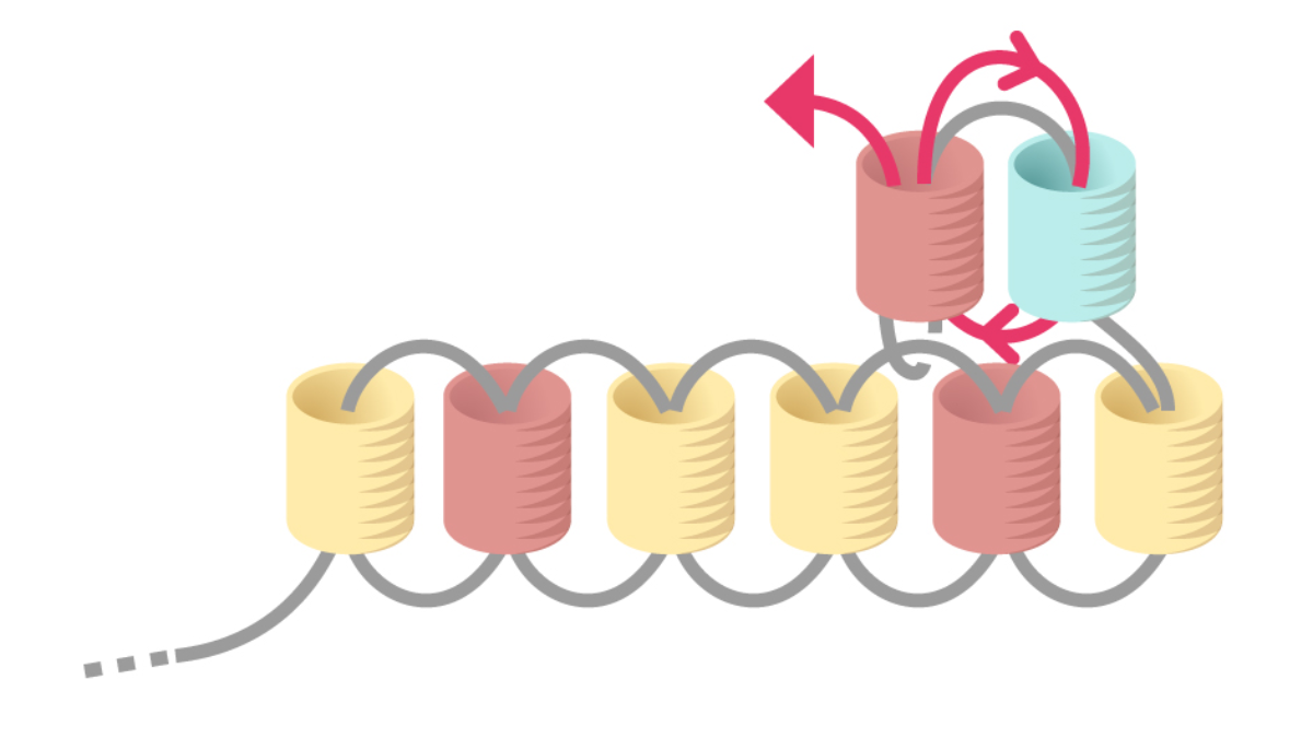 Grille de tissage Boucles d'oreilles Miyuki pastel en Brick Stitch : Etape 7