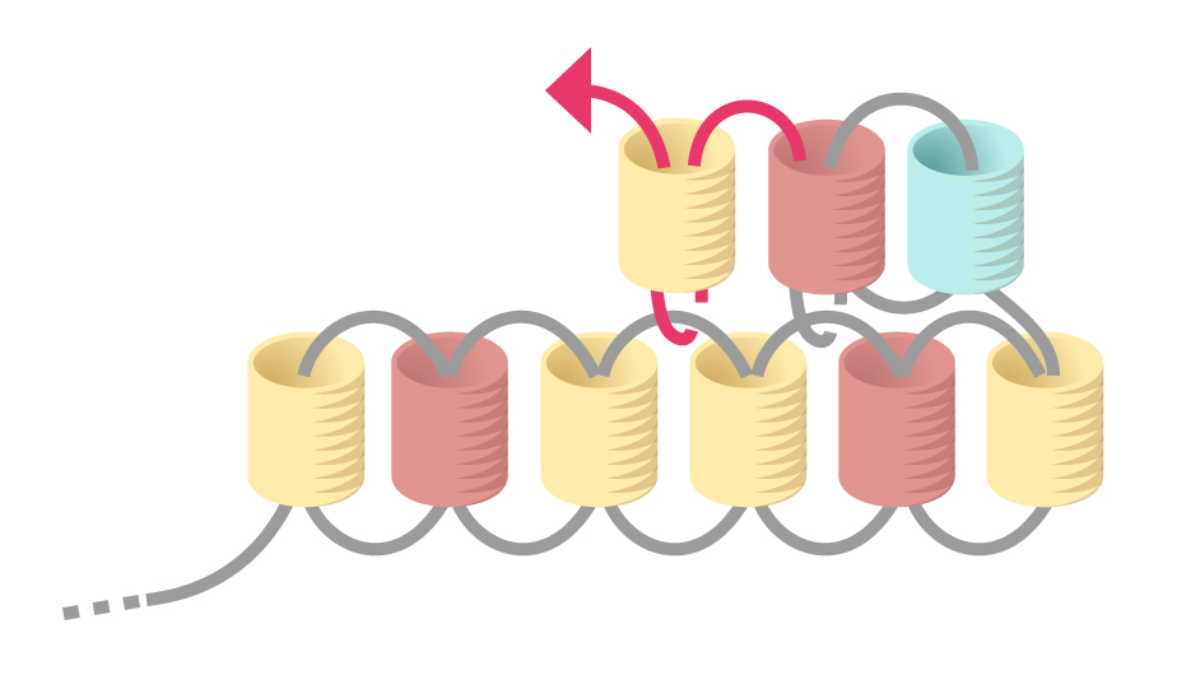 Grille de tissage Boucles d'oreilles Miyuki pastel en Brick Stitch : Etape 8