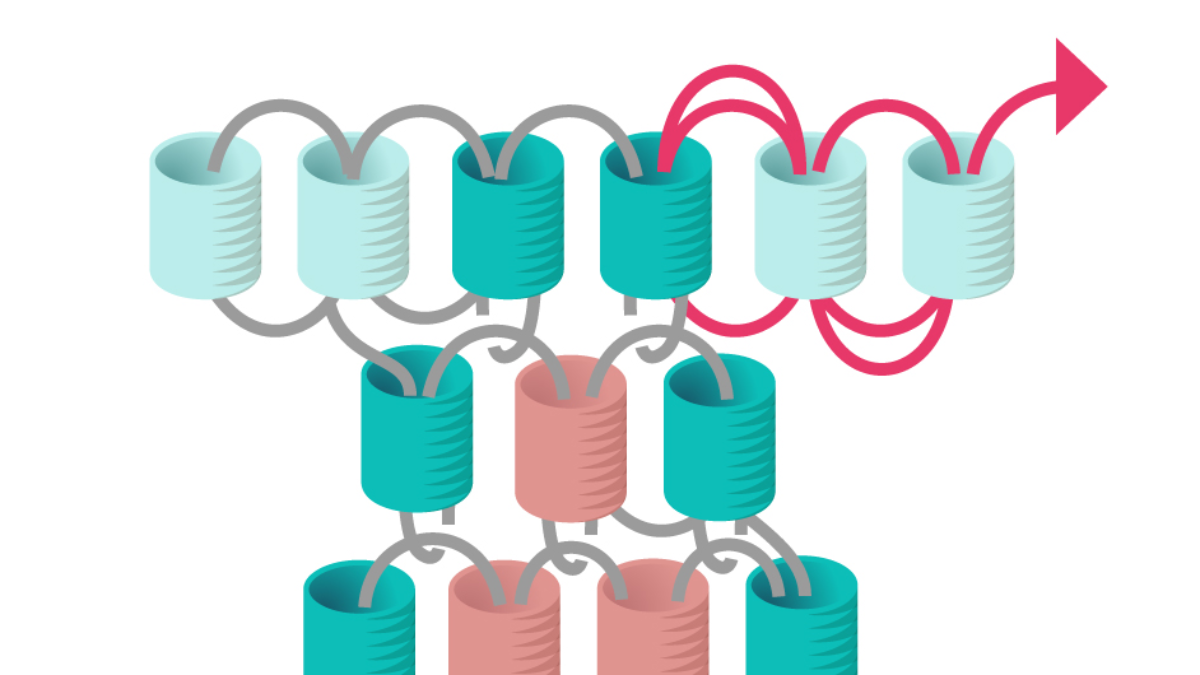 Grille de tissage Boucles d'oreilles Miyuki pastel en Brick Stitch : Etape 11