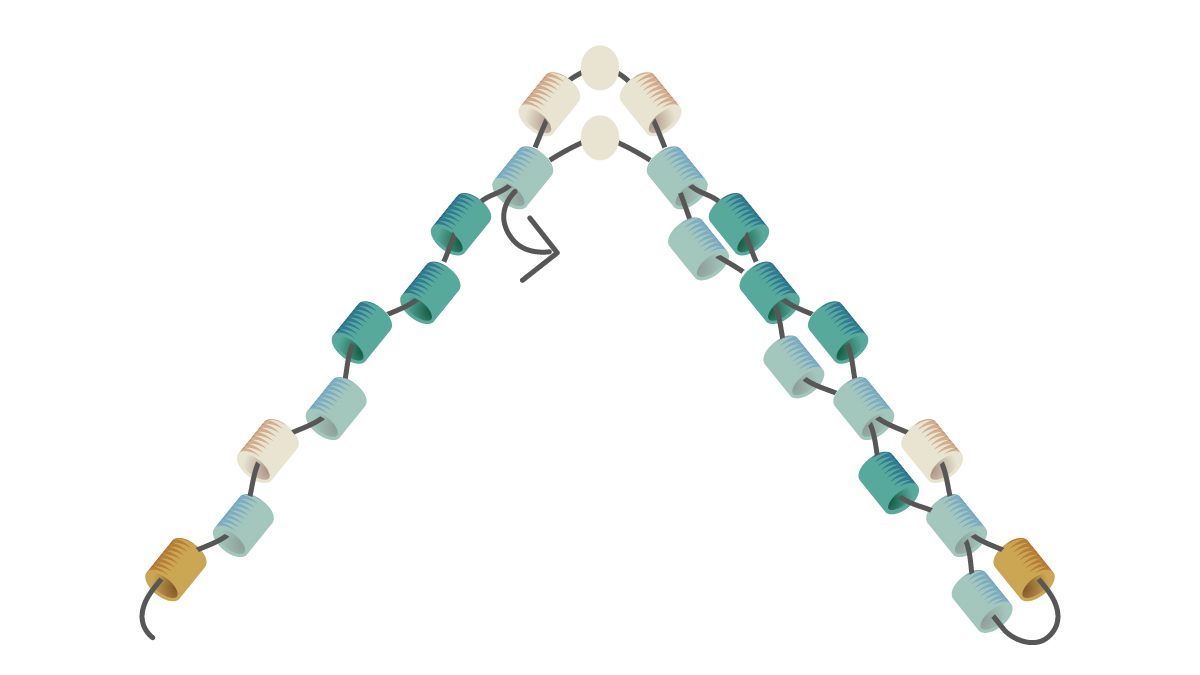 Bracelet Miyuki tissage Mississippi turquoise : Etape 3