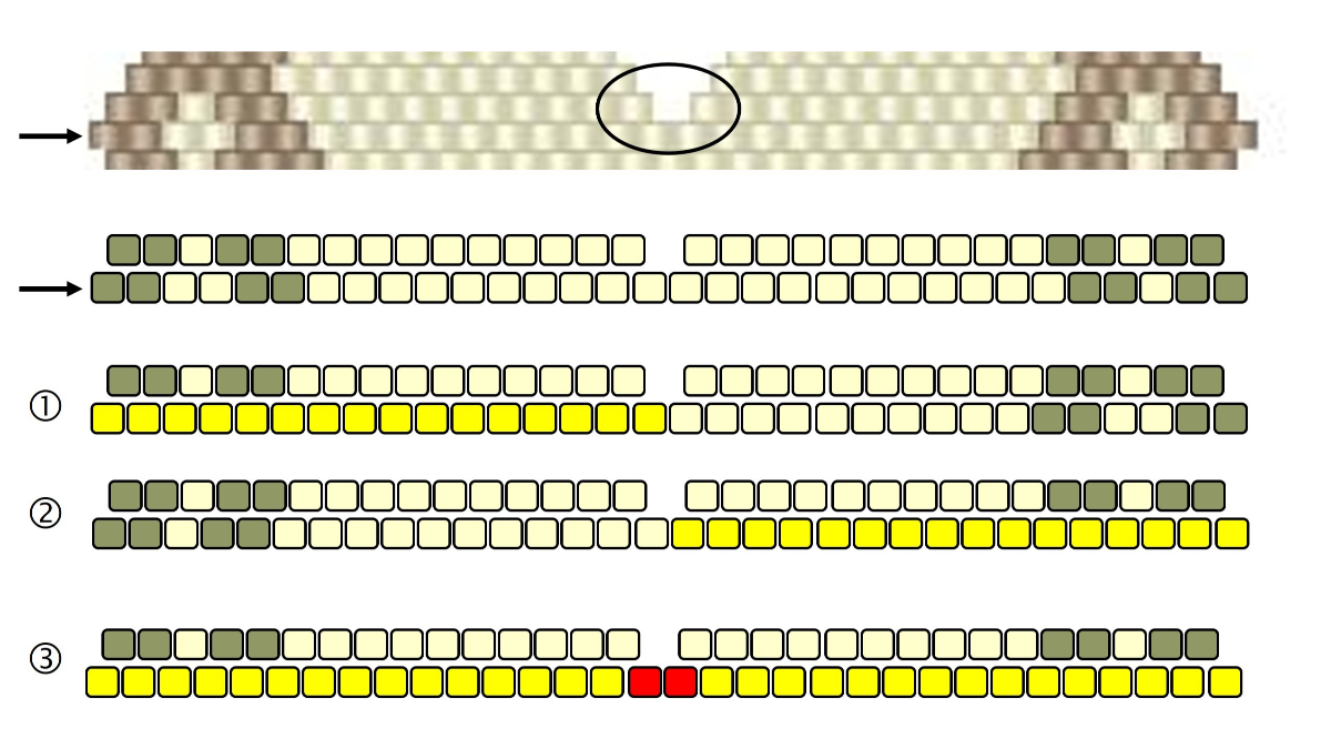 Etui pour ciseaux de couture en tissage de perles brick stitch avec perles Miyuki Délicas 11/0 : Etape 3