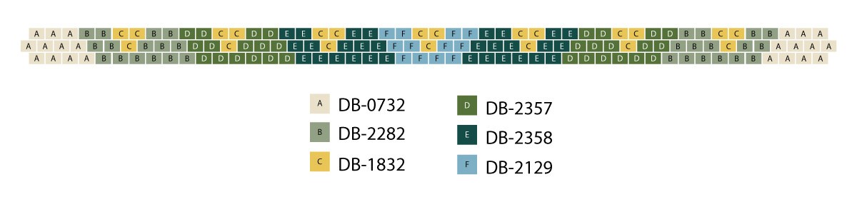 Schéma Jonc Miyuki doré en Peyote Impair