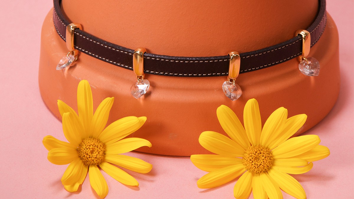 Schéma Collier pour chien DIY : Cordon en cuir et cristaux