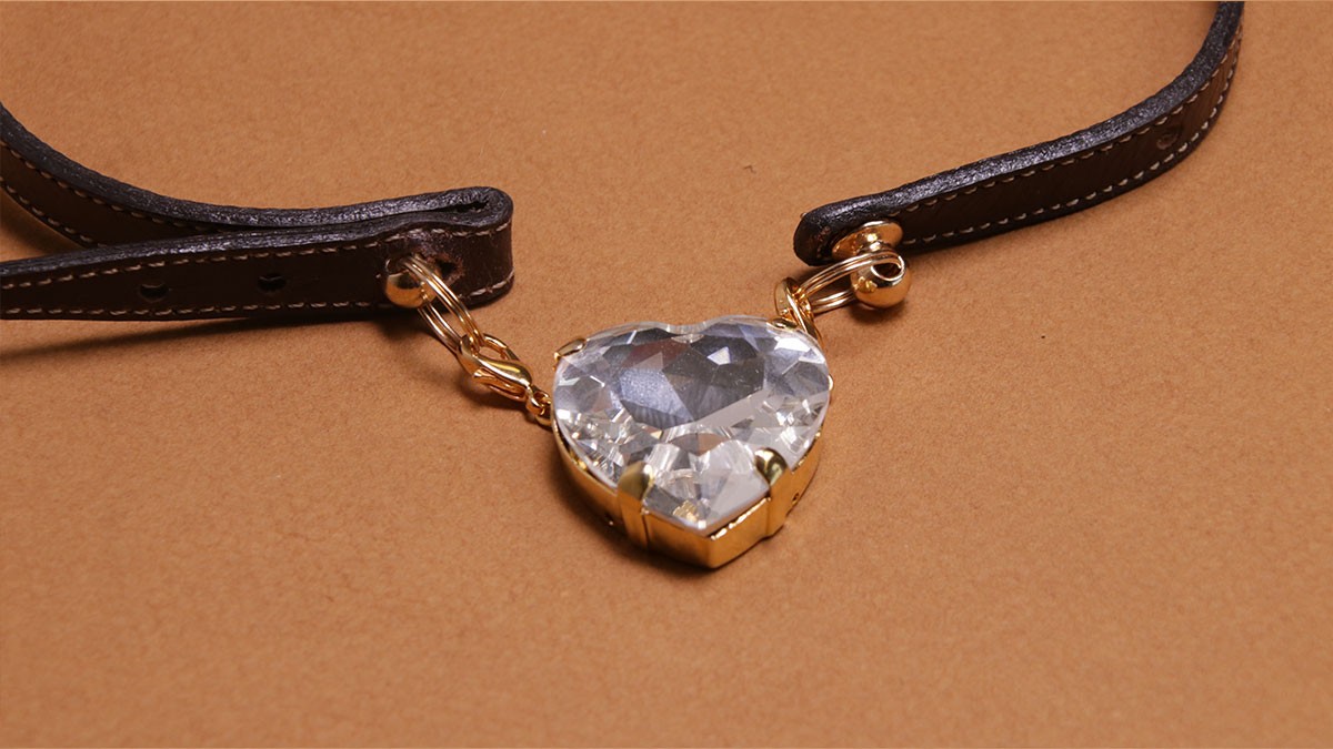 Collier pour chien DIY : Cordon en cuir et cristaux : Etape 11