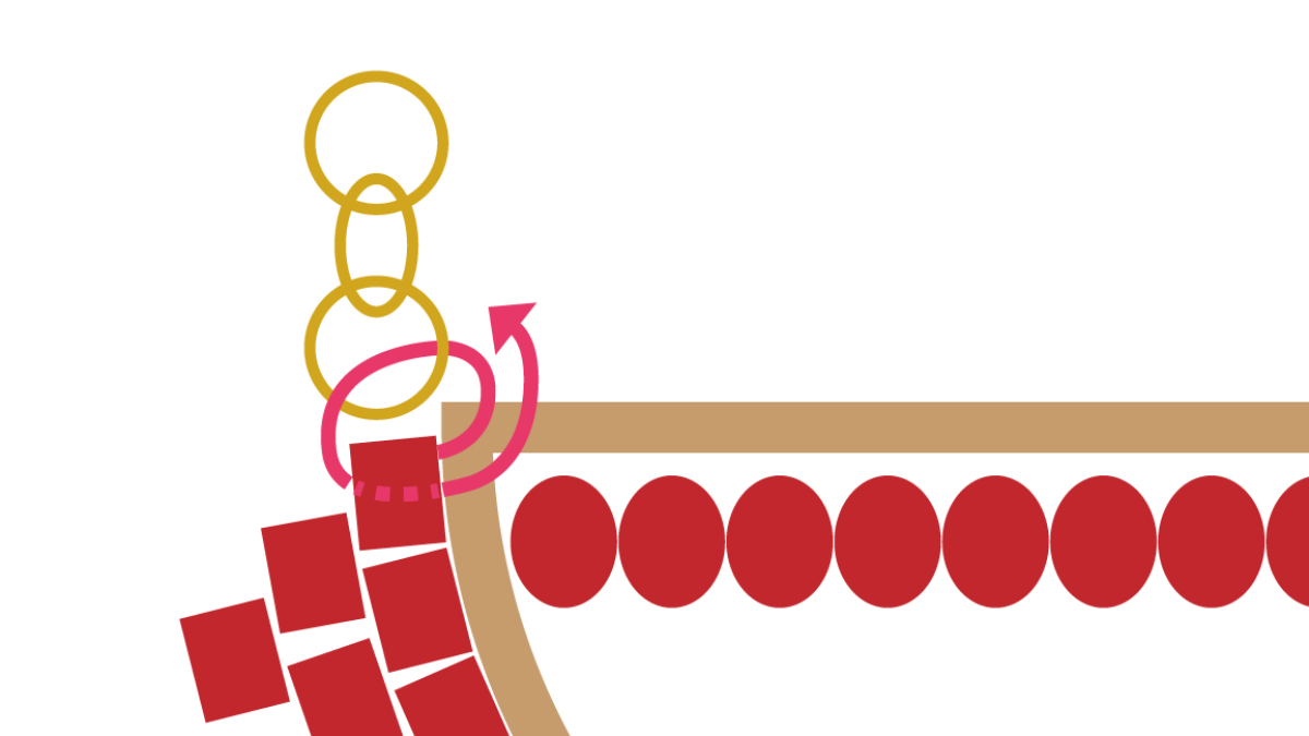 Collier Miyuki demi-lune technique brick stitch : Etape 7